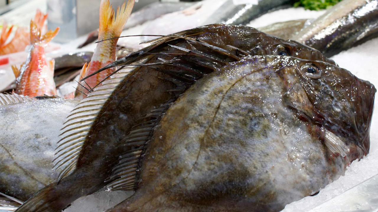 COMERCIALIZACIÓN DE PRODUCTOS DO MAR - MARISQUEO–OBTENCIÓN DO PERMEX-COFRADIA NOIA-ONLINE 