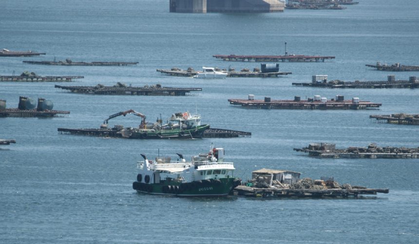 COMERCIALIZACIÓN DOS PRODUCTOS PESQUEIROS E DA ACUICULTURA