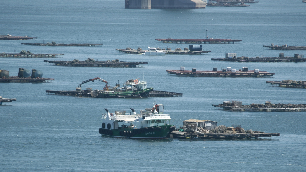 COMERCIALIZACIÓN DOS PRODUCTOS PESQUEIROS E DA ACUICULTURA