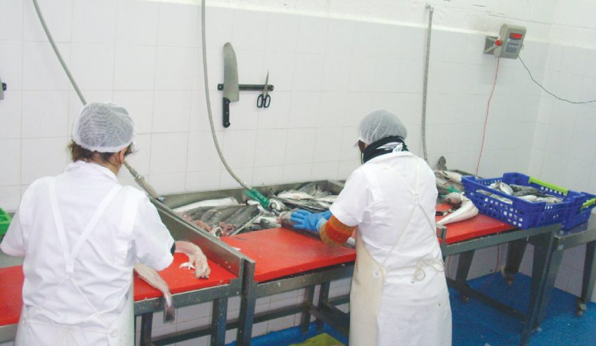 OPERADOR MANIPULADOR DOS PRODUCTOS PESQUEIROS FRESCOS