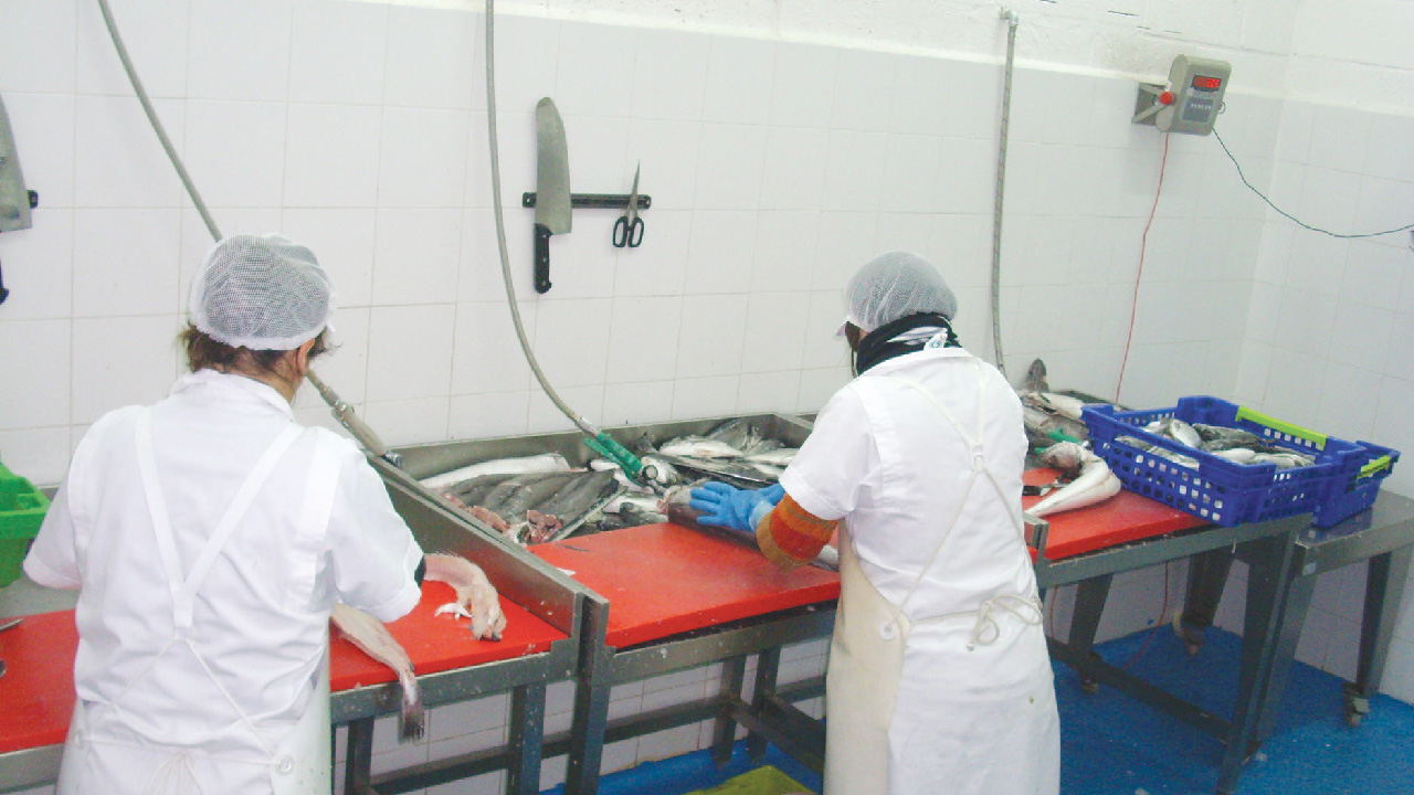 OPERADOR MANIPULADOR DOS PRODUCTOS PESQUEIROS FRESCOS