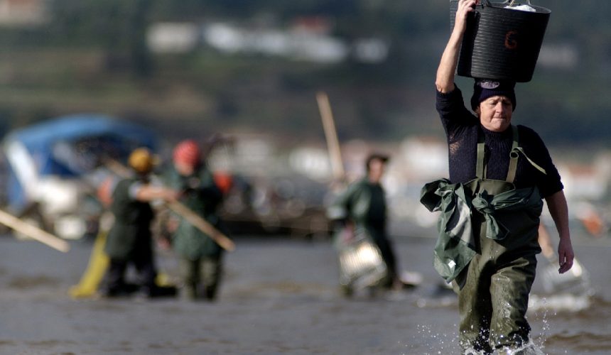 FORMULAS ASOCIATIVAS NO SECTOR PESQUEIRO E MARISQUEIRO