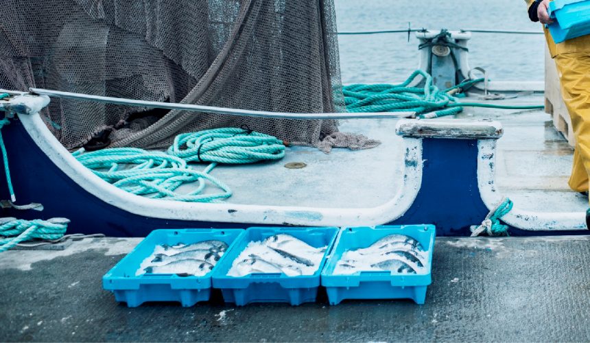 MANIPULACIÓN DE ALIMENTOS EN PRODUCTOS PESQUEROS