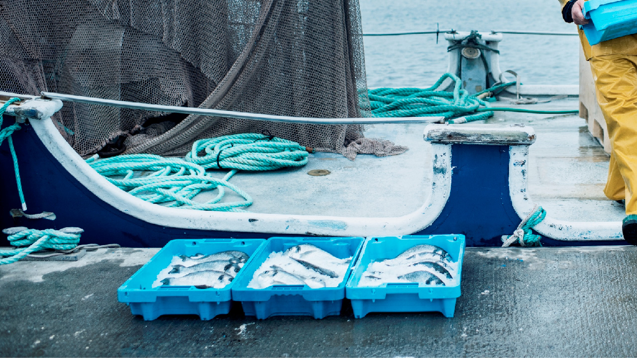 MANIPULACIÓN DE ALIMENTOS EN PRODUCTOS PESQUEROS